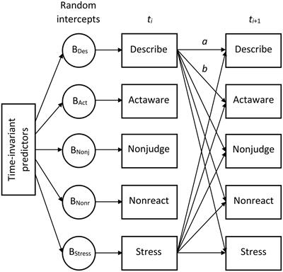 Day-to-day associations between mindfulness and perceived stress: insights from random intercept cross-lagged panel modeling